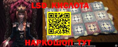 ГАЛЛЮЦИНОГЕННЫЕ ГРИБЫ Камышлов