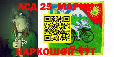 ГАЛЛЮЦИНОГЕННЫЕ ГРИБЫ Камышлов