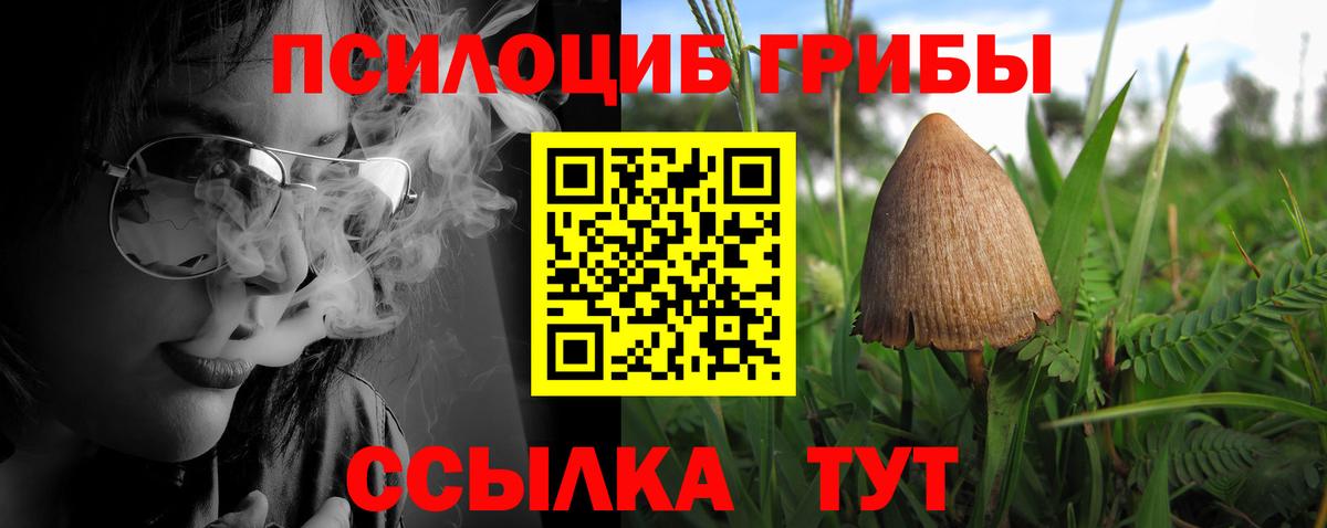 Галлюциногенные грибы Psilocybe  купить закладку  Якутск  Вход с VPN 