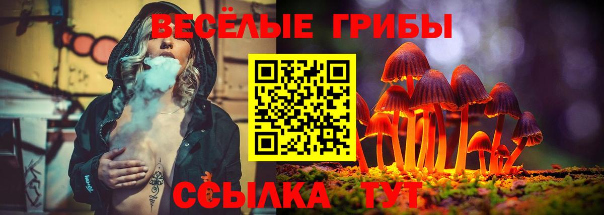 Галлюциногенные грибы MAGIC MUSHROOMS Якутск